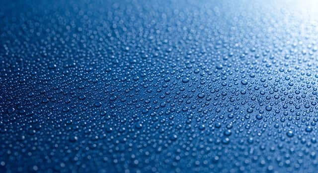 Single Layer Ceramic Coating